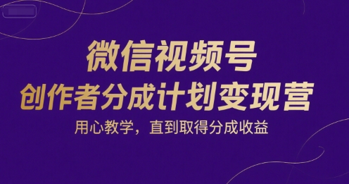 微信视频号创作者分成计划变现营，用心教学，直到取得分成收益-二当家网创资源站