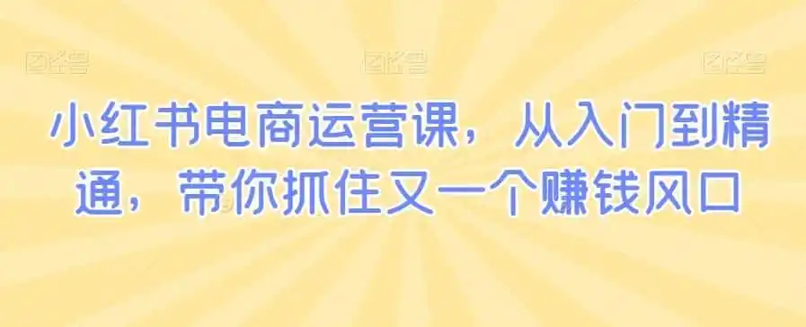 小红书电商运营课,从入门到精通,带你抓住又一个赚钱风口-二当家网创资源站
