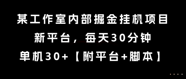 某工作室内部掘金挂G项目，新平台，每天30分钟，单机30+【揭秘】-二当家网创资源站