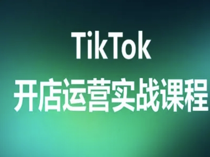 TikTok开店运营实战课程，TK跨境电商实操全流程-二当家网创资源站