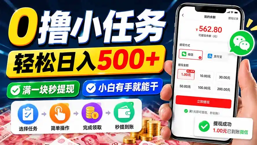 0撸小任务,轻松日入500+,满一块秒提现,小白有手就能干-二当家网创资源站