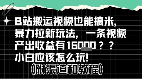 b站掘金计划？搬运视频也能挣拉新的收益，小白应该怎么玩！-二当家网创资源站
