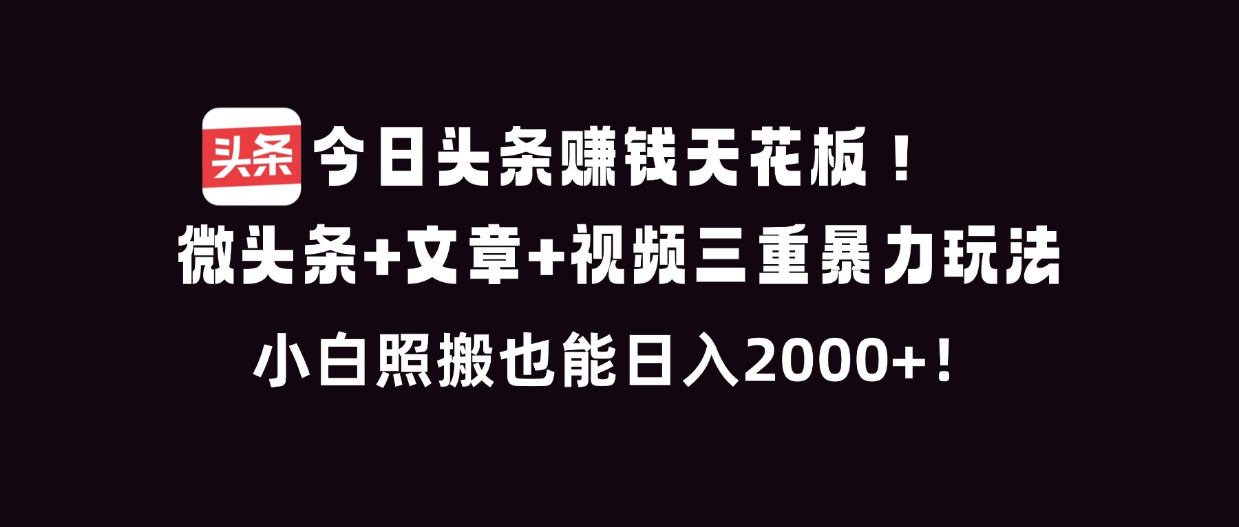 今日头条赚钱天花板！微头条+文章+视频三重暴利玩法，小白照搬也能日人2000+-二当家网创资源站