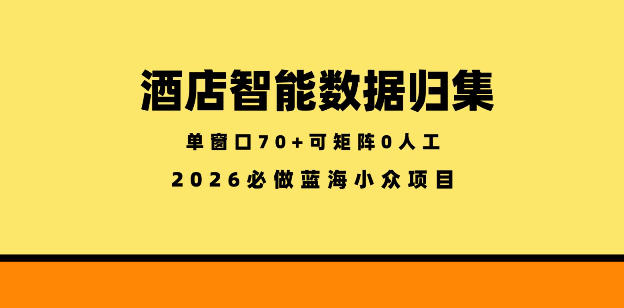 酒店智能数据归集,小众蓝海已经稳定半年之久,单窗口70+零成本矩阵开干【揭秘】-二当家网创资源站