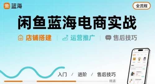 闲鱼蓝海电商实战，店铺搭建运营售后全流程-二当家网创资源站