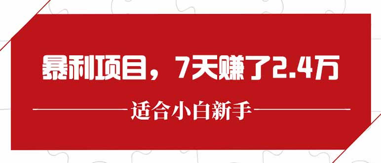 最新暴利项目，每单收益轻松在300以上，7天赚了2.4万-二当家网创资源站