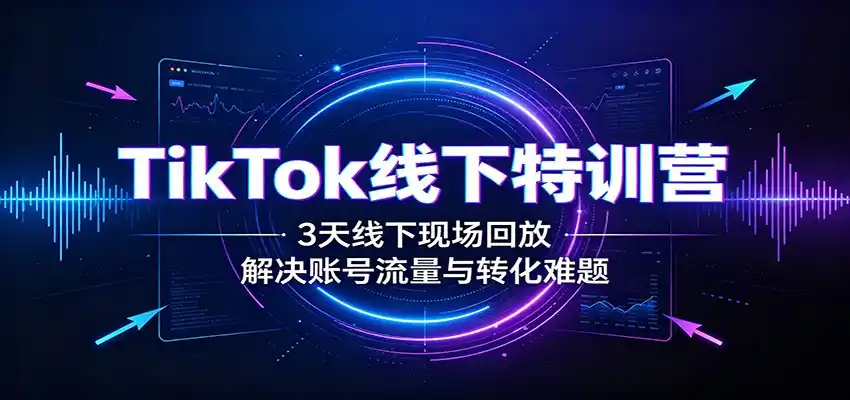 TikTok线下特训营：3天线下现场回放，解决账号流量与转化难题-二当家网创资源站