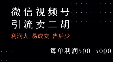 视频号卖二胡教程，利润大 易成交 售后少，一单利润5张+-二当家网创资源站
