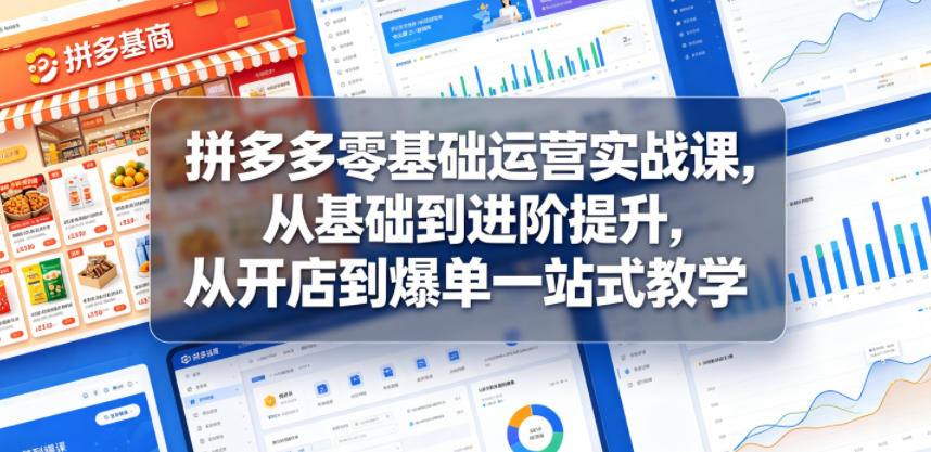 拼多多零基础运营实战课，从基础到进阶提升，从开店到爆单一站式教学-二当家网创资源站