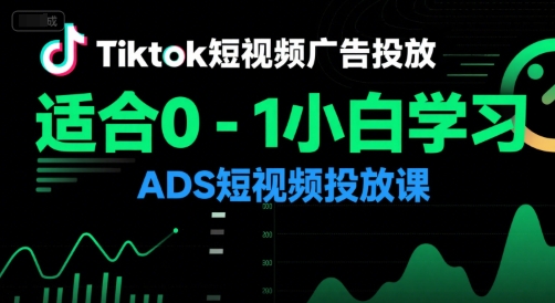 Tiktok短视频广告投放，适合0-1小白学习ADS短视频投放课-二当家网创资源站