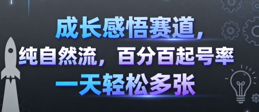 成长感悟赛道，纯自然流，百分百起号率 一天轻松多张-二当家网创资源站
