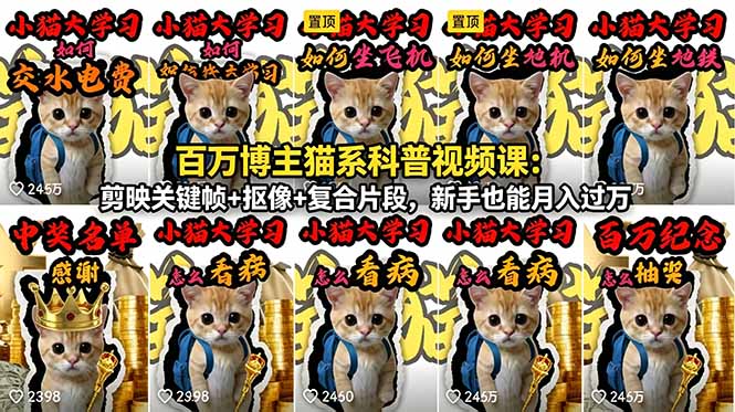 百万博主猫系科普视频课：剪映关键帧+抠像+复合片段，新手也能月入过万-二当家网创资源站