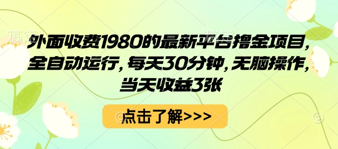 外面收费1980的最新平台撸金项目，全自动运行，每天30分钟，无脑操作，当天收益3张【揭秘】-二当家网创资源站