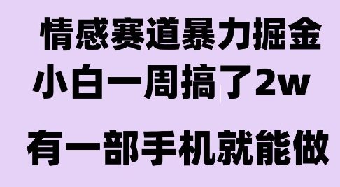 情感暴力掘金项目，新人操作一周挣了2W，长期稳定小白可做【揭秘】-二当家网创资源站