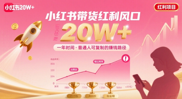 一年时间靠小红书带货项目年入20w+，最不能错的大红利项目-二当家网创资源站