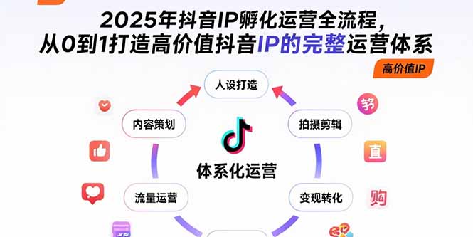 2025年抖音IP孵化运营全流程，从0到1打造高价值抖音IP的完整运营体系-二当家网创资源站
