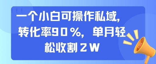 一个小白可操作私域，转化率90%，单月轻松收割2W-二当家网创资源站