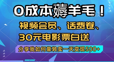 0成本薅羊毛!视频会员、话费卷、30元电影票白送，分享我如何靠转卖一天变现5张+【揭秘】-二当家网创资源站