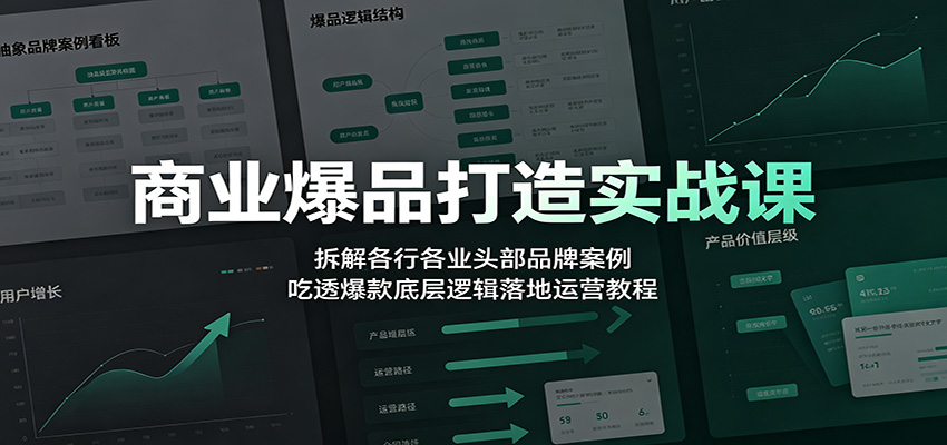 商业爆品打造实战课：拆解各行各业头部品牌案例，吃透爆款底层逻辑落地运营教程-二当家网创资源站