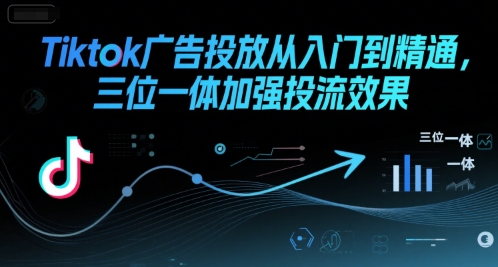 Tiktok广告投放从入门到精通，三位一体加强投流效果-二当家网创资源站