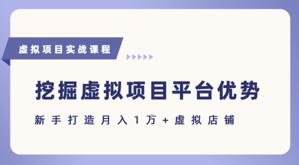 抓住虚拟项目各平台优势，新手轻松月入1W+(给出具体建议)-二当家网创资源站