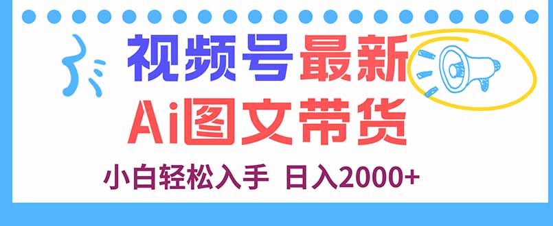 视频号最新AI图文带货，每天几分钟，小白轻松入手，日入2000+-二当家网创资源站