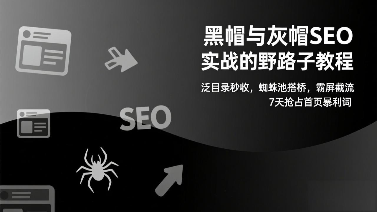 黑帽与灰帽SEO实战的野路子教程：泛目录秒收，蜘蛛池搭桥，霸屏截流，7天抢占首页暴利词-二当家网创资源站