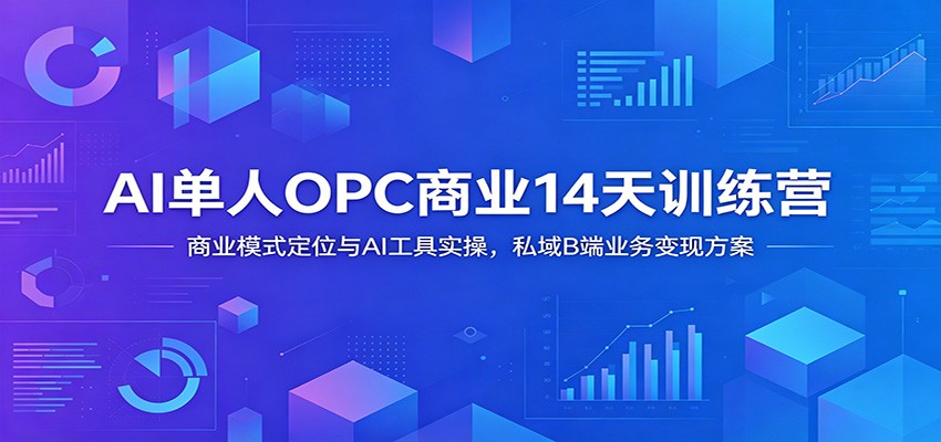 AI单人OPC商业14天训练营:商业模式定位与AI工具实操,私域B端业务变现方案-二当家网创资源站
