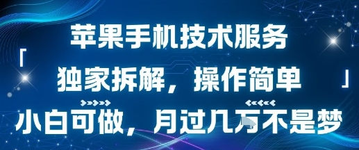 苹果手机技术服务，独家拆解，操作简单，小白可做，月过1W不是梦-二当家网创资源站