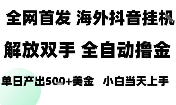 海外抖音无人直播，单日产出1.5k+，长期稳定，新手可玩，无脑操作【揭秘】-二当家网创资源站