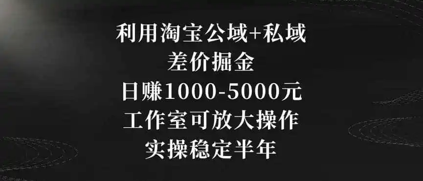 利用淘宝公域+私域差价掘金,日赚1000-5000元,工作室可放大操作,实操稳定半年【揭秘】-二当家网创资源站