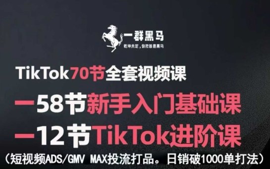 TikTok全套视频课，新手入门+进阶课，短视频ADS-GMV MAX投流打品，日销破1000单打法-二当家网创资源站