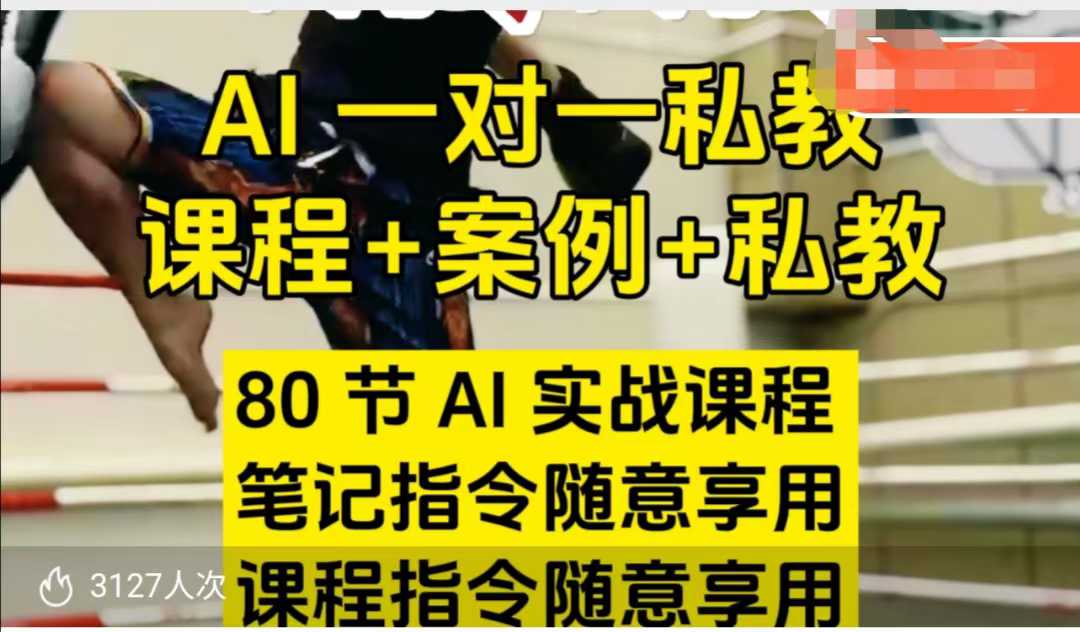 AI指令实战课，课程+案例，80节AI实战课程，笔记指令随意享用，课程指令随意享用(更新7月)-二当家网创资源站