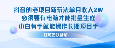 老项目新玩法单月收入2W小白有手就能操作长期项目-二当家网创资源站