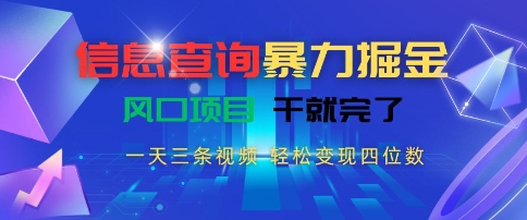 信息查询暴力掘金，一天三条视频，轻松变现四位数，风口项目干就完了【揭秘】-二当家网创资源站