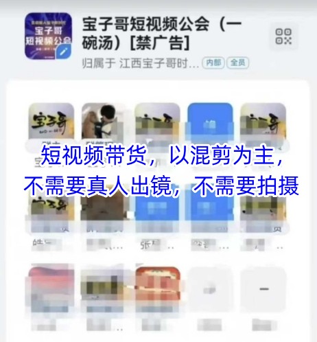 宝子哥头部团队短视频带货，以混剪为主，不需要真人出镜，不需要拍摄【更新6月】-二当家网创资源站