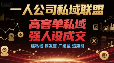 一人公司私域联盟，高客单私域，强人设成交，建私域 搞发售 广结盟 造势能-二当家网创资源站