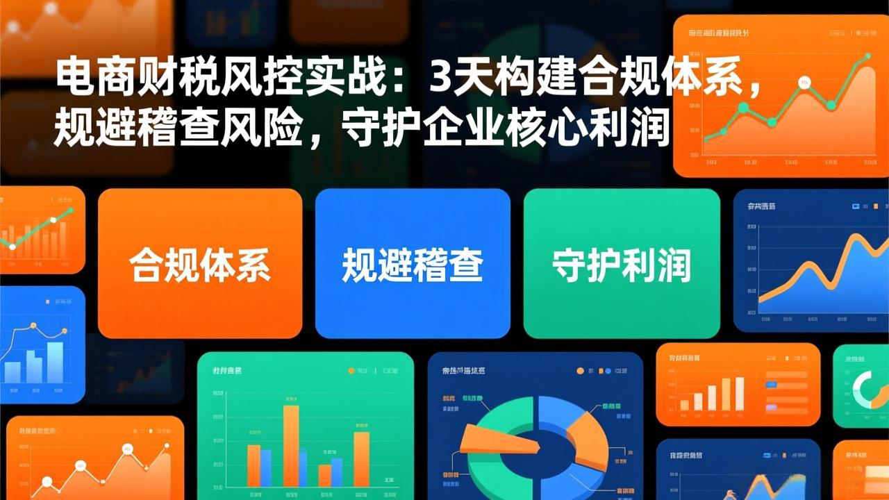 电商财税风控实战：3天构建合规体系，规避稽查风险，守护企业核心利润-二当家网创资源站