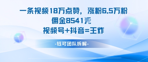 一条视频18W点赞，涨粉6.5W粉佣金8541米，视频号+抖音=王炸-二当家网创资源站