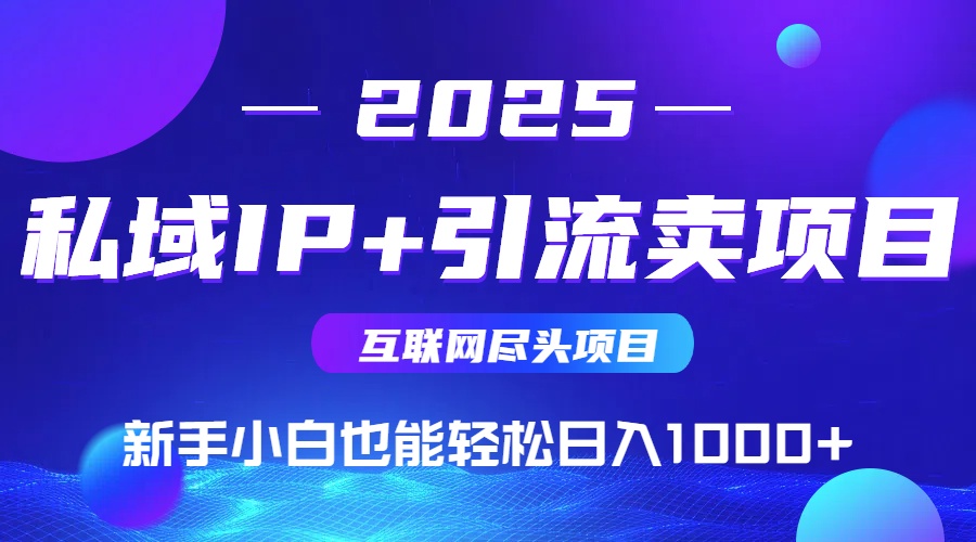 2025网创尽头项目，私域IP+引流，新手小白也能在家日入1000+-二当家网创资源站