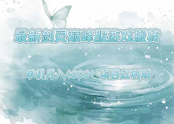 最新剑灵巅峰服游戏搬砖，项目红利期，单机稳定4000+操作简单好上手-二当家网创资源站