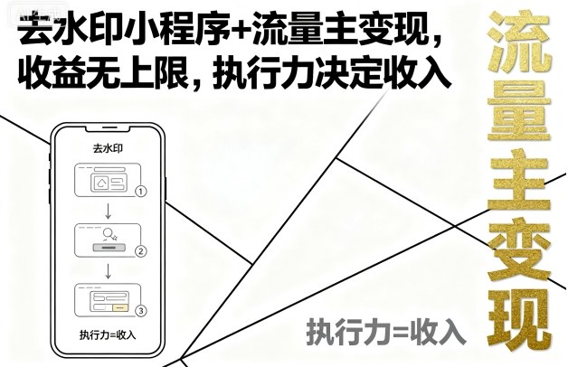 去水印小程序+流量主变现，收益无上限，执行力决定收入-二当家网创资源站
