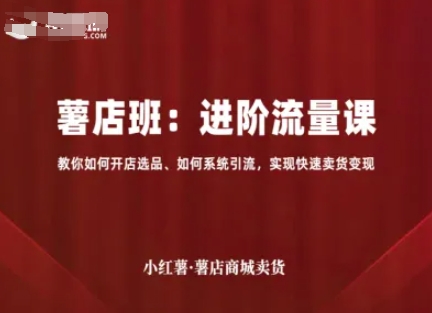 小红薯薯店商城卖货，进阶流量课，教你如何开店选品、如何系统引流，实现快速卖货变现-二当家网创资源站