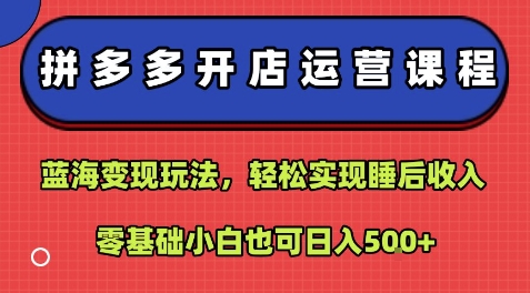 拼多多开店运营课程：蓝海变现玩法，轻松实现睡后收入，零基础小白也可日入5张-二当家网创资源站