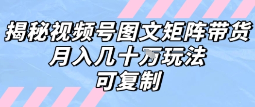 解密视频号图文矩阵带货，月入几个W的打法，可复制-二当家网创资源站