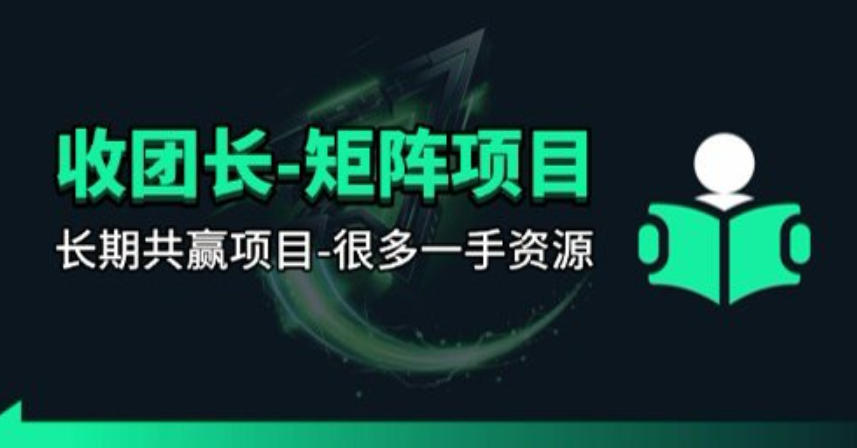 【团长合作】视频矩阵项目_招发手矩阵+剪辑师，共赢项目【揭秘】-二当家网创资源站