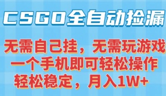 CSGO自动捡漏项目，最新独家玩法，一个手机可操作，新手小白轻松月入1W+，操作简单易上手【揭秘】-二当家网创资源站