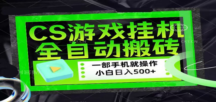 CSGO游戏挂机捡漏搬砖，超稳定的项目，带领1000+小白实现日入500+-二当家网创资源站