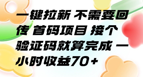 一键拉新 不需要回传 首码项目 接个验证码就算完成 一小时收益70+【揭秘】-二当家网创资源站
