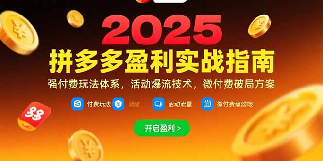 拼多多盈利实战指南，强付费玩法，活动爆流技术，微付费破局方案(更新7月-二当家网创资源站